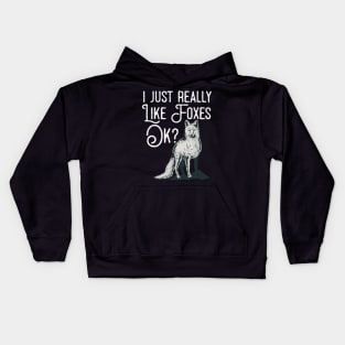 I Just Really Like Foxes Ok? Kids Hoodie